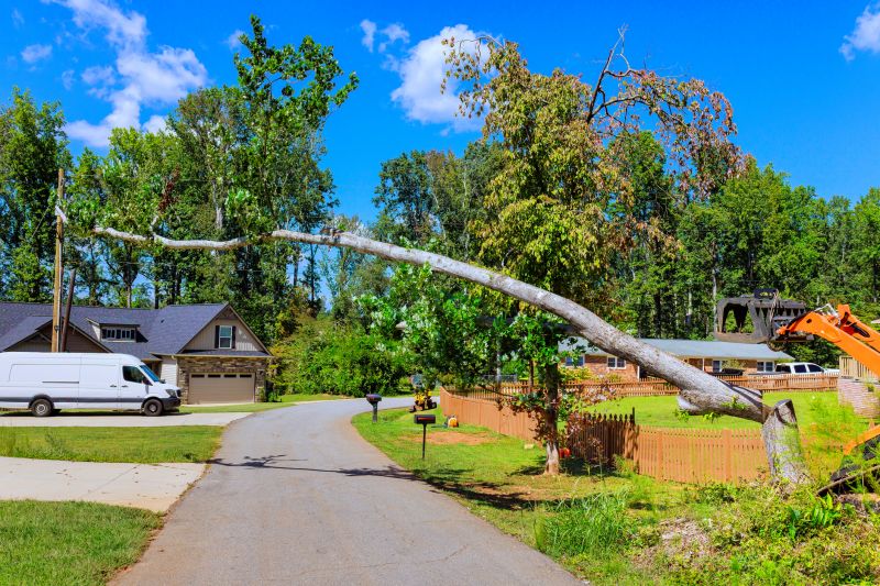 Cost of Emergency Tree Removal in Mount Juliet, TN