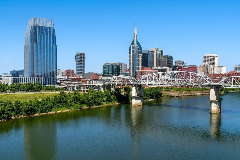 Tree Removal Service in Gallatin, TN
