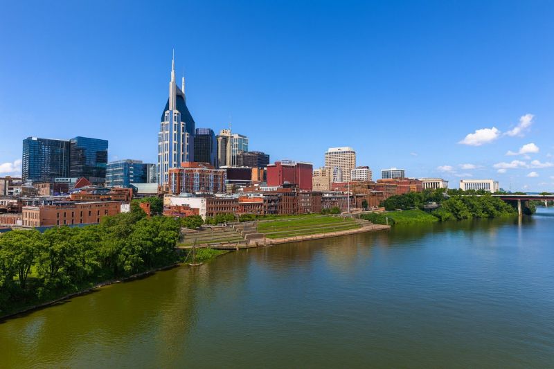 Tree Removal Service in La Vergne, TN
