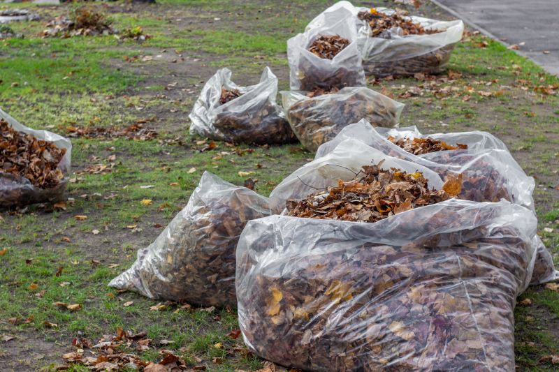 Efficient Yard Cleanup