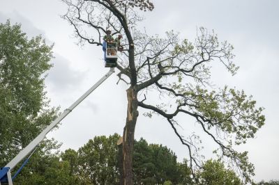 Team Clearing Debris