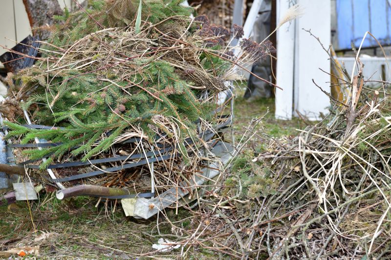 Disposal of Debris