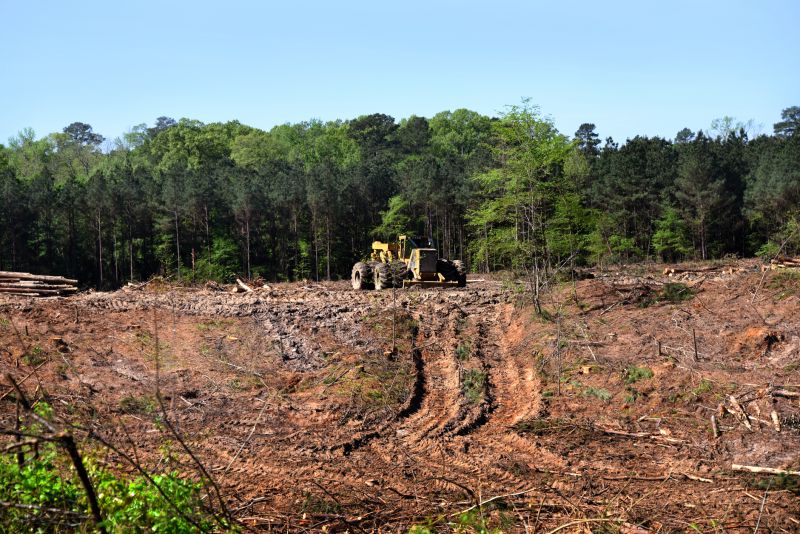 Land Clearing Machines